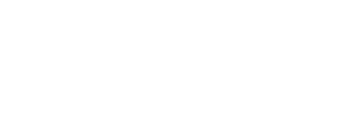 Monochrome white Spirit solutions logo